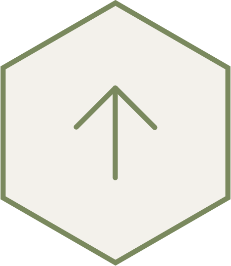 ページトップへ